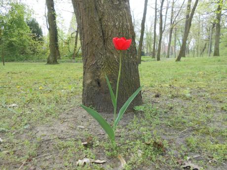 Frühling - Udo Pütsch - auf - Array - Frühling - Udo Pütsch - auf - Array -