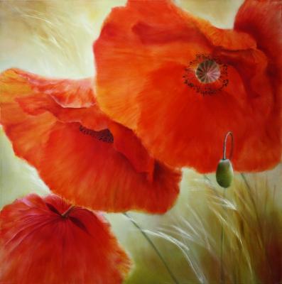 Drei mal Mohn - Annette Schmucker - auf - Array - Drei mal Mohn - Annette Schmucker - auf - Array -