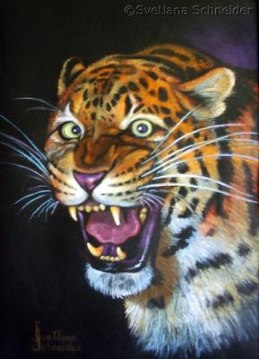 Jaguar - Svetlana Schneider - Array auf - Array - Jaguar - Svetlana Schneider - Array auf - Array -