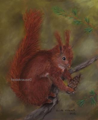 Eichhoernchen - Heide Krause - Array auf Array - Array - Array Eichhoernchen - Heide Krause - Array auf Array - Array - Array