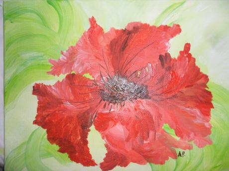 ---roter Mohn - Astrid Pütsch - Array auf Array - Array - ---roter Mohn - Astrid Pütsch - Array auf Array - Array -