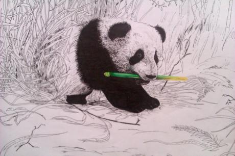 Panda Bär - Vilinskiy Nic - auf Array - Array - Array Panda Bär - Vilinskiy Nic - auf Array - Array - Array