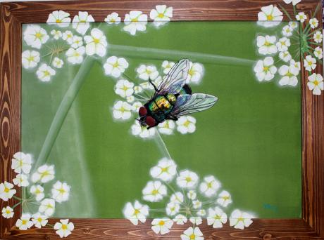 Fliege - mike . mairhofer - Array auf Array - Array - Fliege - mike . mairhofer - Array auf Array - Array -