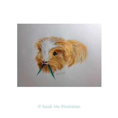 Meerschweinchen Franziska - Sarah Mo Illustration - Array auf Array - Array - Array Meerschweinchen Franziska - Sarah Mo Illustration - Array auf Array - Array - Array