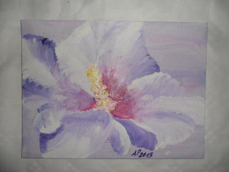 ---Hibiskusblüte - Astrid Pütsch - Array auf Array - - ---Hibiskusblüte - Astrid Pütsch - Array auf Array - -