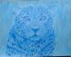 Leopard in blautönen - Anita Novacek - Bleistift-Farbstift auf - Mystik-Raubkatzen-Sonstiges-Abend-Freude-Harmonie-Stärke - Leopard in blautönen - Anita Novacek - Bleistift-Farbstift auf - Mystik-Raubkatzen-Sonstiges-Abend-Freude-Harmonie-Stärke -