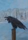 Der Rabe - Inge Mayer - Acryl auf Karton - Vögel - Impressionismus-Klassisch-Realismus Der Rabe - Inge Mayer - Acryl auf Karton - Vögel - Impressionismus-Klassisch-Realismus