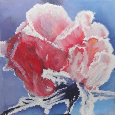 Rose im Schnee--- - ingrid wenz-gahler - Array auf - Array - Array Rose im Schnee--- - ingrid wenz-gahler - Array auf - Array - Array