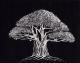 luminous bonsai luminous bonsai