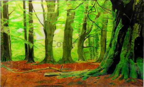 Herbst - Markus Frommlet - Array auf Array - Array - Array Herbst - Markus Frommlet - Array auf Array - Array - Array