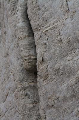 --- - robert schery - auf - Array - --- - robert schery - auf - Array -