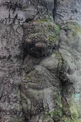 --- - robert schery - auf - Array - --- - robert schery - auf - Array -