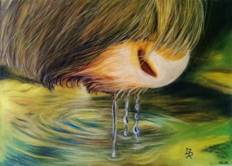 Wasserstelle - Georg Rataj - Array auf - Array - Wasserstelle - Georg Rataj - Array auf - Array -
