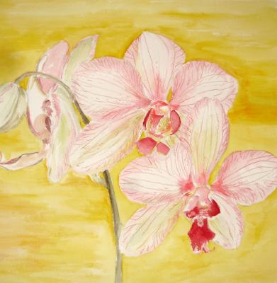 Orchidee 1 - Mario Rischke - Array auf Array - Array - Array Orchidee 1 - Mario Rischke - Array auf Array - Array - Array