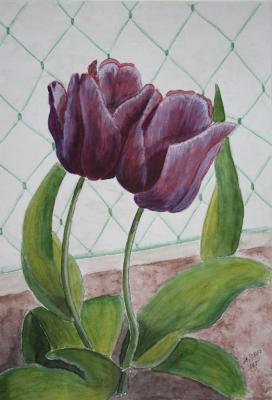 Tulpen - Kristina Thome - Array auf Array - Array - Array Tulpen - Kristina Thome - Array auf Array - Array - Array