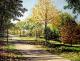 Herbst Herbst