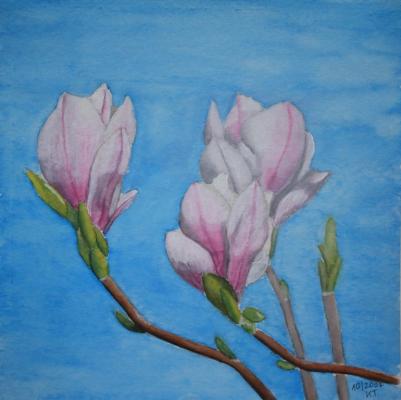 Magnolia 1 - Kristina Thome - Array auf Array - Array - Array Magnolia 1 - Kristina Thome - Array auf Array - Array - Array