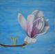 Magnolia 2 Magnolia 2
