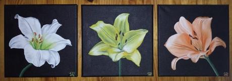 Lilien-Trilogie - Christin Dahms - Array auf Array - Array - Array Lilien-Trilogie - Christin Dahms - Array auf Array - Array - Array