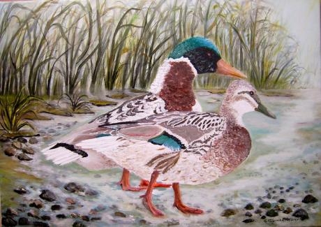 ---Entenpaar - Elisabeth Willner - Array auf Array - Array - Array ---Entenpaar - Elisabeth Willner - Array auf Array - Array - Array