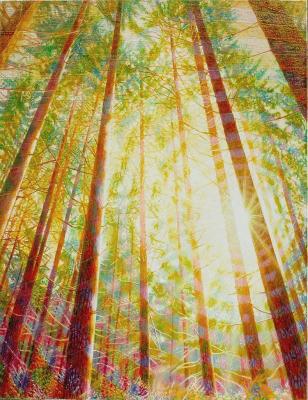 Strahlender Sonnenaufgang - Fred Hahn - Array auf Array - Array - Array