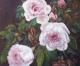 Roses II Roses II
