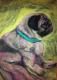 Schmollender mops - Susanne Oster - Pastell auf Papier - Hunde - Gegenständlich Schmollender mops - Susanne Oster - Pastell auf Papier - Hunde - Gegenständlich