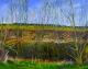 Nidda-Auen 8,Frühling Nidda-Auen 8,Frühling