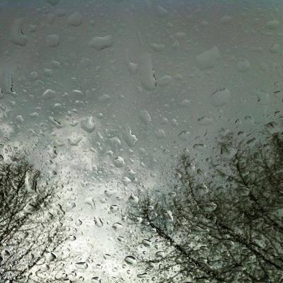 Blick ins Trübe - L.M. G. - auf - Array - Blick ins Trübe - L.M. G. - auf - Array -