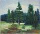Moor bei Görwihl - Josef Heinzler - Thomas Knab - Ãl auf Leinwand - Bäume-See-Wald-Frühling - Impressionismus Moor bei Görwihl - Josef Heinzler - Thomas Knab - Ãl auf Leinwand - Bäume-See-Wald-Frühling - Impressionismus