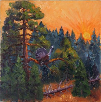 Auerhahn im Sonnenuntergang - Josef Heinzler - Thomas Knab - Array auf Array - Array - Array