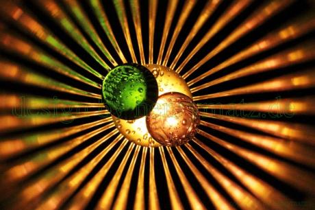 Kollision 2016--- - Henry Matz - auf - Array - Kollision 2016--- - Henry Matz - auf - Array -