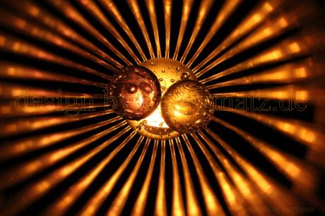 Kollision 2016--- - Henry Matz - auf - Array - Kollision 2016--- - Henry Matz - auf - Array -