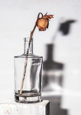 shadow on the wall - fernand Reiter - auf - Array - shadow on the wall - fernand Reiter - auf - Array -