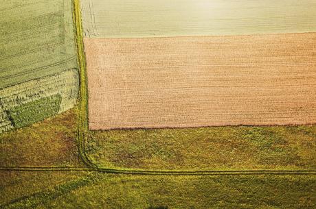 Greenway - fernand Reiter - auf - - Greenway - fernand Reiter - auf - -