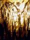 ---Carlsbad Caverns ---Carlsbad Caverns