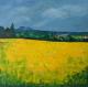 Rapsfeld--- Rapsfeld---