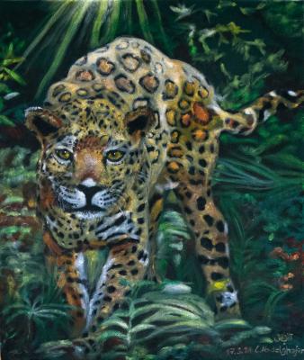 Jaguar im Dschungel - Claudia Lüthi - Array auf - Array - Array Jaguar im Dschungel - Claudia Lüthi - Array auf - Array - Array